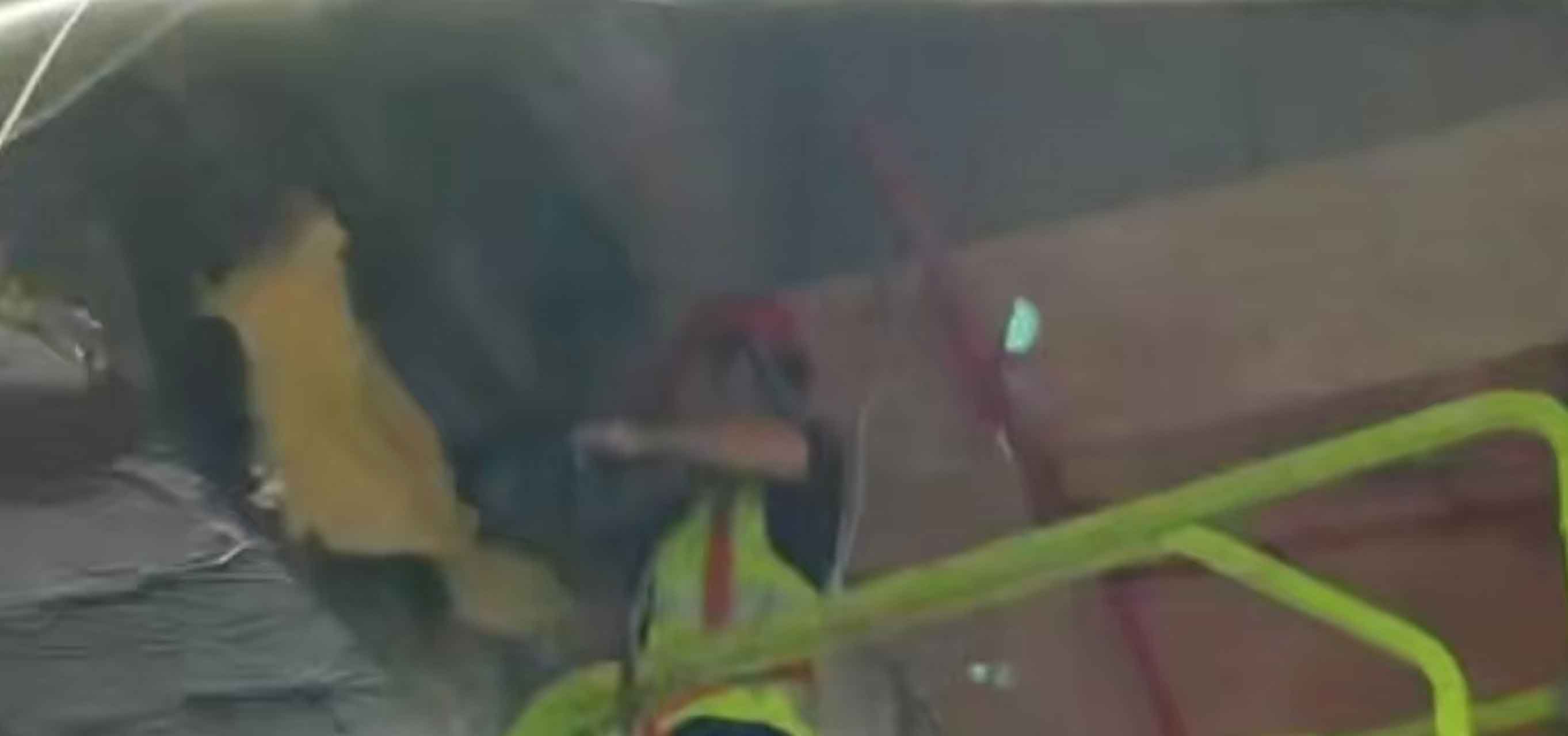 2025-33-002盒马鲜生-深圳湖贝里室内装修工程 2025.9.18开工